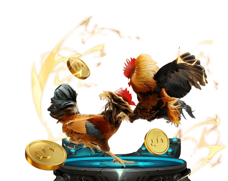 Ưu đãi hoàn trả cao cấp